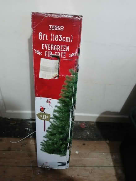 Photo of free Christmas tree (Colwyn Bay LL29) #1