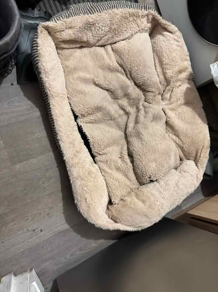 Photo of free Large dog beds (G81) #1