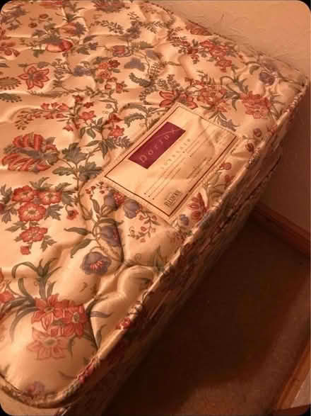 Photo of free Single bed (Oswestry SY11) #4