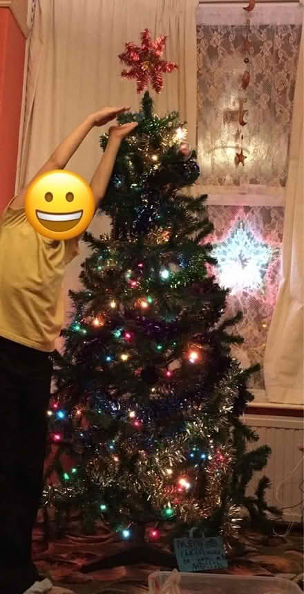 Photo of free 1.8m/6 foot artificial Xmas tree (Boultham LN5) #4