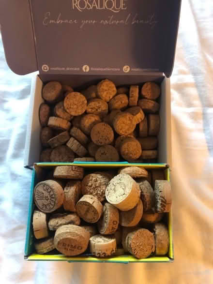 Photo of free Wine corks for crafting (King's Hedges Ward CB4) #1