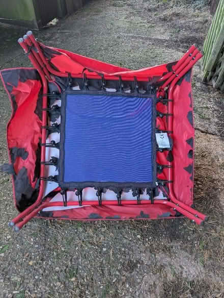 Photo of free Small trampoline (North Herts SG4) #2