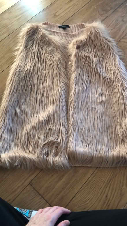 Photo of free Faux fur Gillet (Cheshunt En8) #1