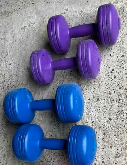 Photo of free 4 weights (CH43) #1