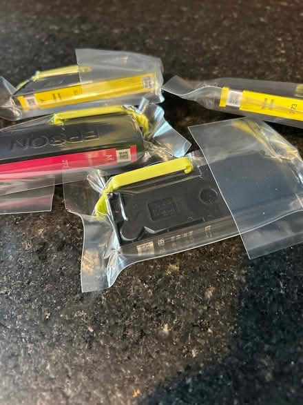 Photo of free Epson 273 printer ink (Randolph NJ) #1