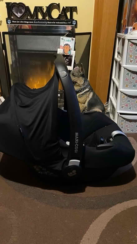 Photo of free Maxi cosi car seat (Lepton) #2