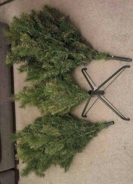 Photo of free 6ft Christmas Tree 🎄 (Saint George's CO2) #3