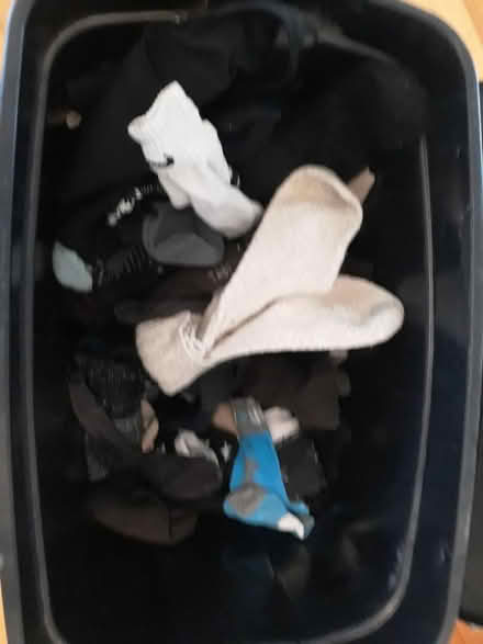 Photo of free Womens socks (Old Ottawa East) #1