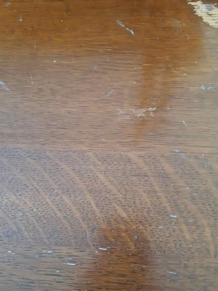 Photo of Wood Stain (Eastbourne) #1