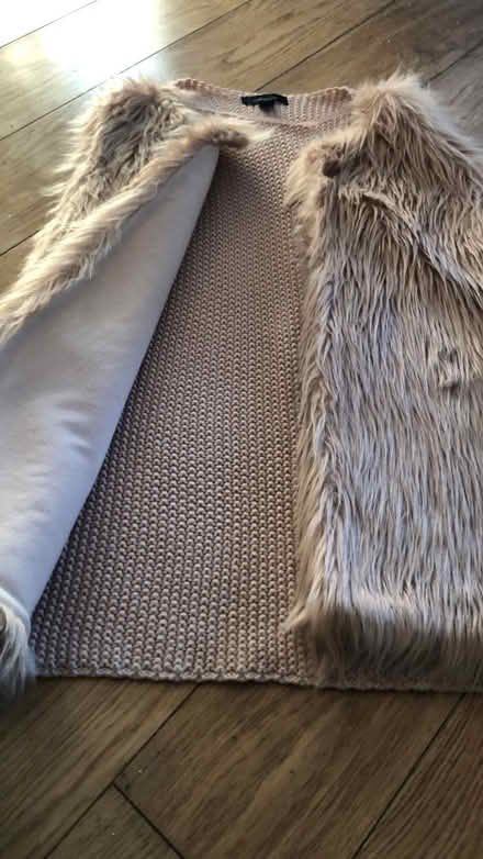 Photo of free Faux fur Gillet (Cheshunt En8) #2