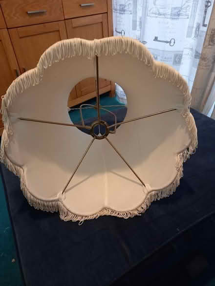 Photo of free Lampshade (Littlemore OX4) #3