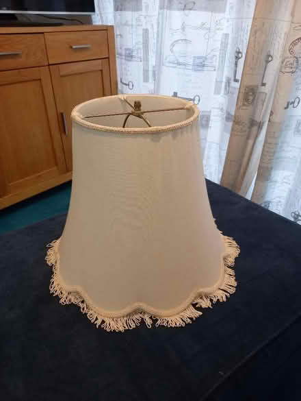 Photo of free Lampshade (Littlemore OX4) #1