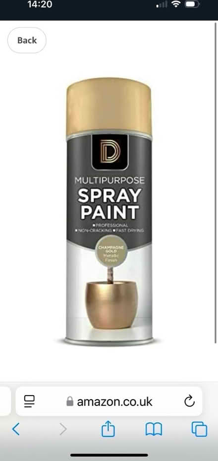 Photo of Gold spray paint (SG12 ware) #1