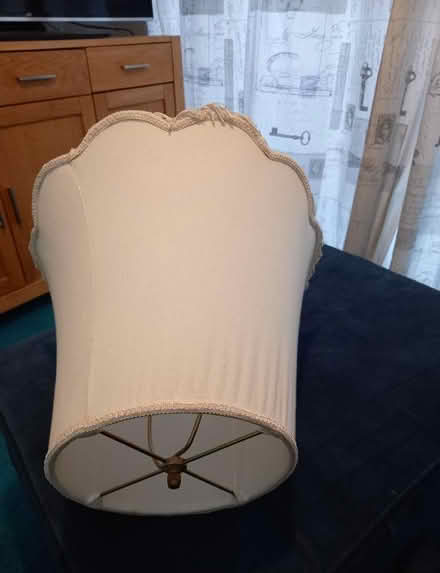 Photo of free Lampshade (Littlemore OX4) #2