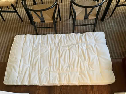 Photo of free Mattress pad (Haverford Township) #1