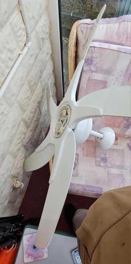 Photo of free Ceiling fan (Chippenham SN15) #2