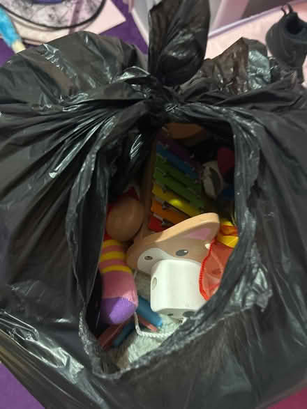 Photo of free Some children’s toys (Bechstein meadow BA14) #1