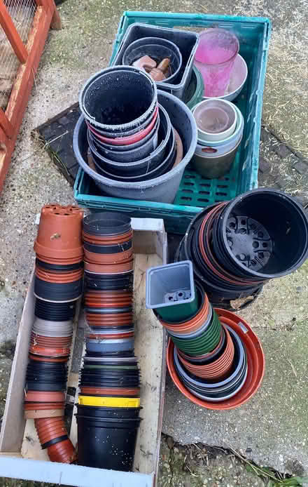 Photo of free Clean plastic plant pots (Chelmsford CM1) #2