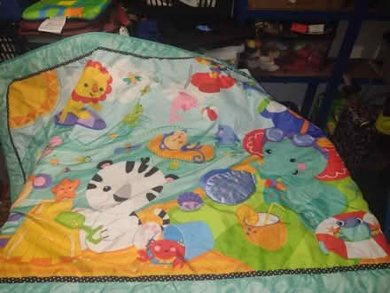 Photo of free Baby play mat animal on play mat (AB21) #1