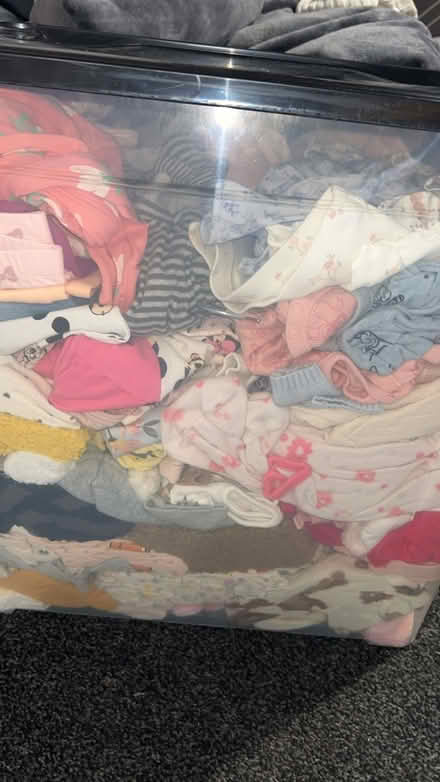 Photo of free Girls cloths (Bechstein meadow BA14) #2