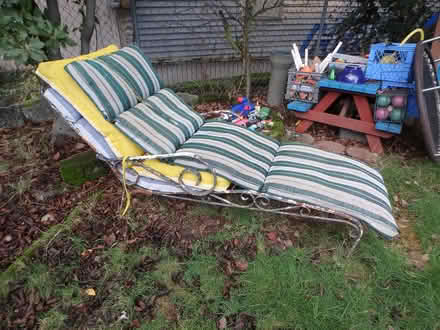 Photo of free Garden and Yard Items (Interbay/Queen Anne) #3