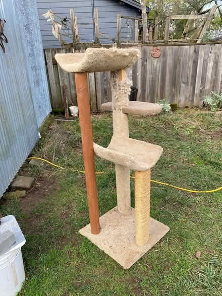 Photo of free Cat tower (SE Woodstock area) #1