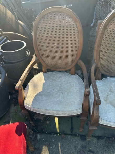 Photo of free 6 Dining chairs (Woodside/Rutherford Estates) #2