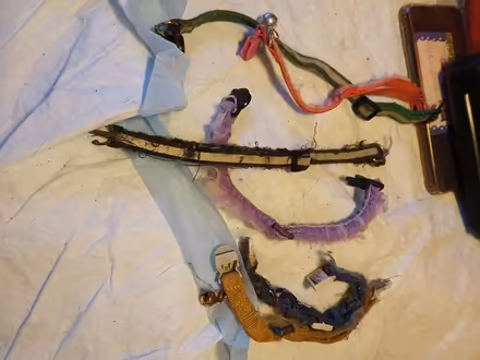 Photo of free Used cat collars (Bronx.morrisania 10456) #1
