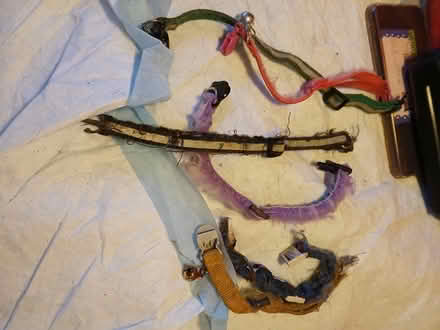 Photo of free Used cat collars (Bronx.morrisania 10456) #1