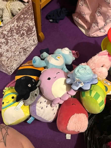 Photo of free Soft toys (Bechstein meadow BA14) #2