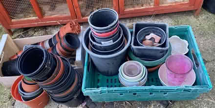 Photo of free Clean plastic plant pots (Chelmsford CM1) #1