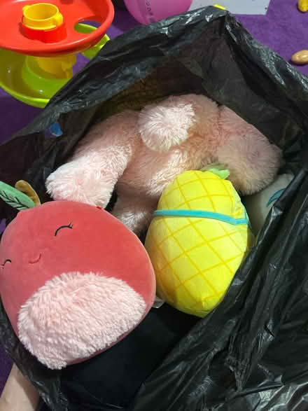 Photo of free Soft toys (Bechstein meadow BA14) #1