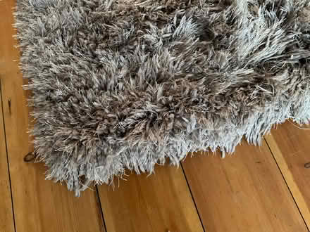 Photo of free Rug (PL7) #2