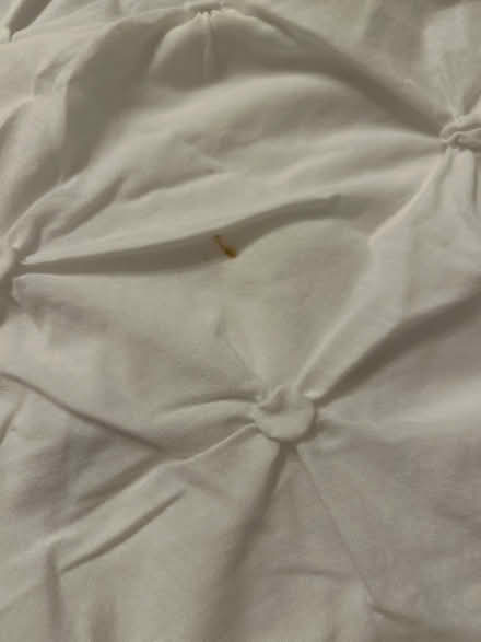 Photo of free White Super king duvet cover (Tilehurst) #2