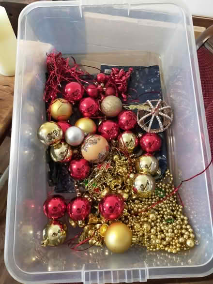 Photo of free Christmas decorations (Wickford SS12) #1