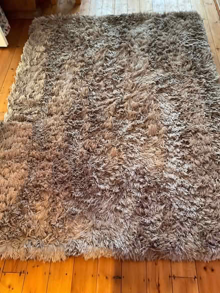 Photo of free Rug (PL7) #1