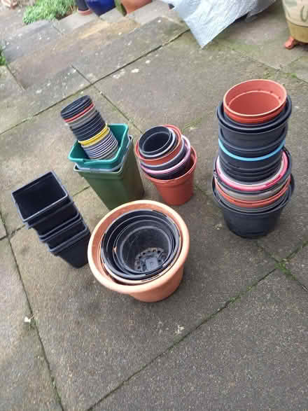 Photo of free Plant Pots - (John Lea area NN8) #1