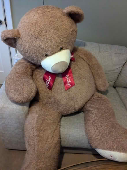 Photo of free Giant Hamleys bear (Old Woking) #1