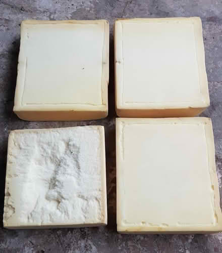 Photo of free 4 Pieces of Foam (Euxton PR7) #2