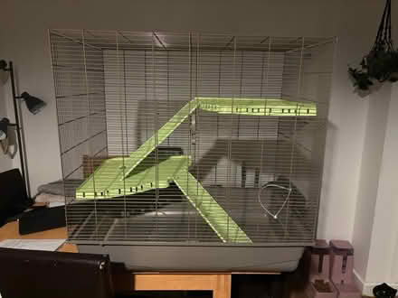 Photo of free Rat cage (Keighley,) #1