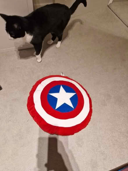 Photo of free Captain America cushion (Henleaze BS9) #1