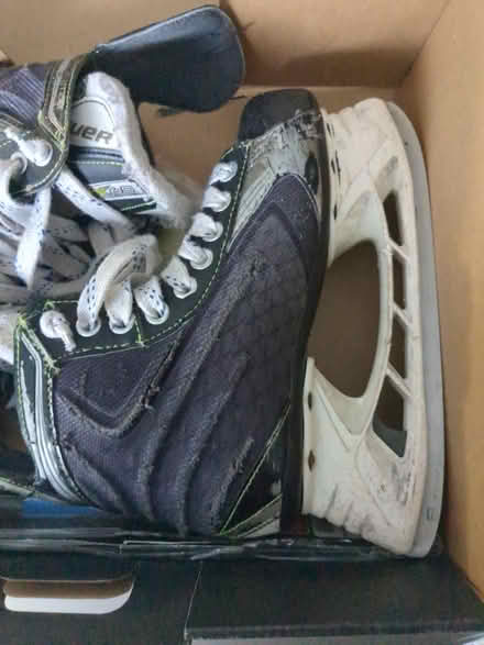 Photo of free Bauer youth hockey skates (Salem, NH) #3