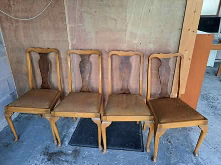 Photo of free Dining chairs (Whittington SY11) #1