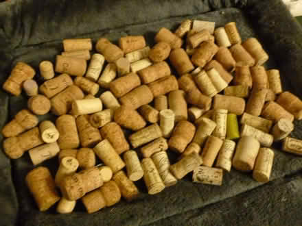 Photo of free Corks (Bare LA4) #2