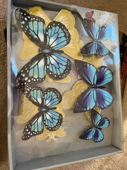 Photo of free Butterflies wall decoration (Ilkeston, DE7) #1