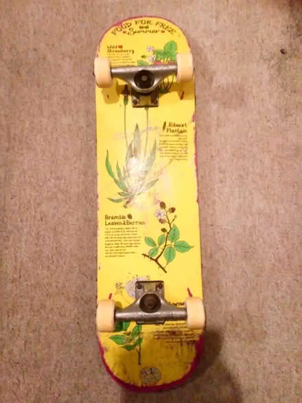 Photo of free Nice custom skateboard (Lewes BN7) #1