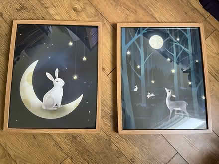 Photo of free Pair of framed prints (CH45) #1