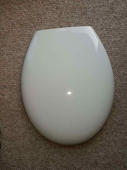 Photo of free Toilet Seat With Fittings (PL13) #3