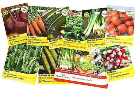 Photo of Fruit and veg seeds (Bradley Fold BL2) #1