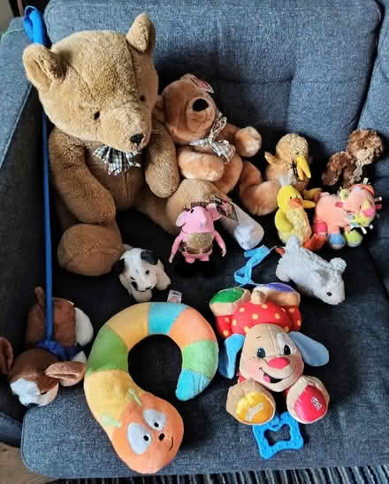 Photo of free 12 soft toys of assorted sizes (Walton-on-Thames KT12) #1